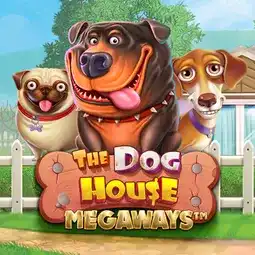 The Dog House Megaways game at Space9 Casino for Australian players